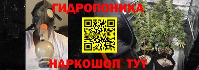 трава Новокубанск