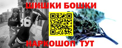 альфа пвп Новодвинск